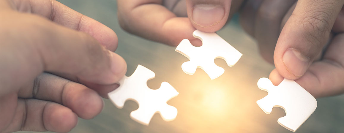 jigsaw pieces