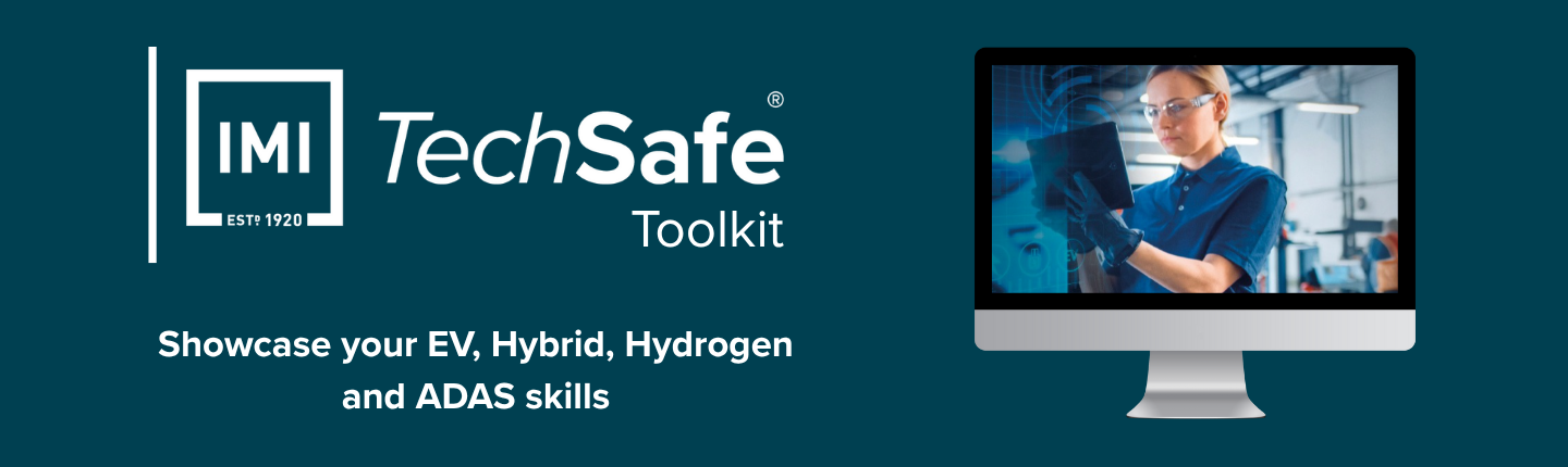 TechSafe toolkit