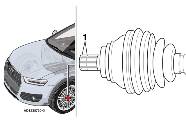 Fig3