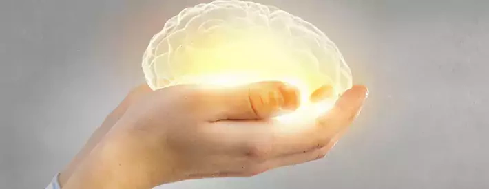 image of a brain