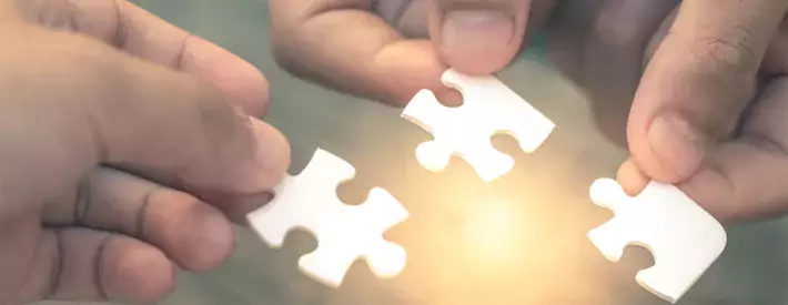 jigsaw pieces