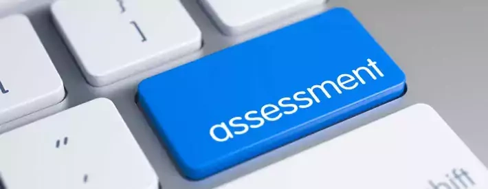 Assessment