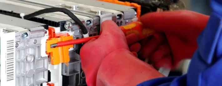 invest in EV skills