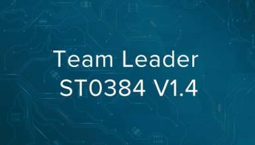 Team Leader
